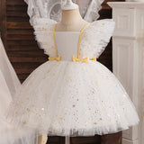 Christmas Girl Mesh Princess Dress