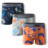 Boy's Dinosaur Printed Underpants