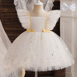 Christmas Girl Mesh Princess Dress