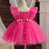 Christmas Girl Mesh Princess Dress