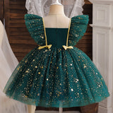 Christmas Girl Mesh Princess Dress