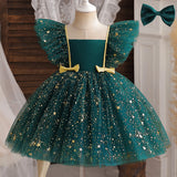 Christmas Girl Mesh Princess Dress