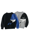 Boys' Color Matching Sweater