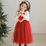 Valentine's Day Love Tulle Skirt