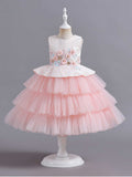 Children's Dress Princess Dress European and American Embroidery Puffy Cake Dress