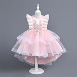 Princess Dress Girls' Spring and Autumn Dress Party Dress