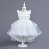 Princess Dress Girls' Spring and Autumn Dress Party Dress