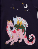 Dinosaur Embroidered Children's Sweatshirt - CCMOM