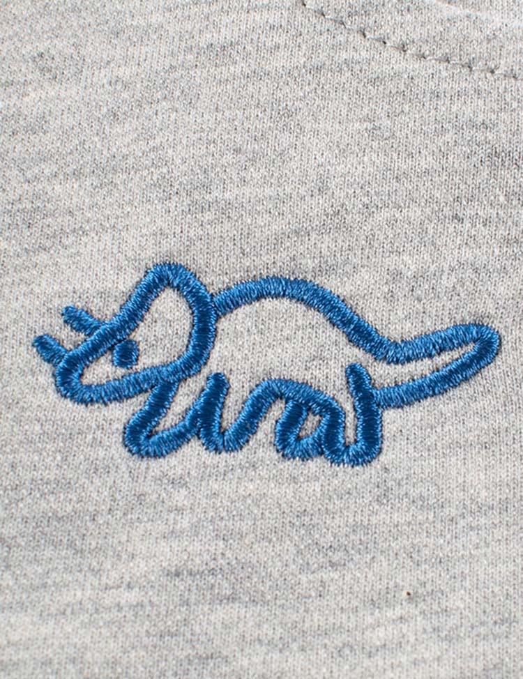 Dinosaur Embroidered Shorts - CCMOM