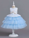 Children's Dress Princess Dress European and American Embroidery Puffy Cake Dress