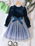 Girl's Autumn and Winter Velvet Princess Dress