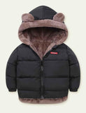 Lambswool Cotton-Padded Jacket - CCMOM