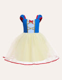 Snow White Mesh Party Dress