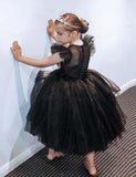 Toddler Girl Flounced Sleeve Mesh Party Dress - CCMOM